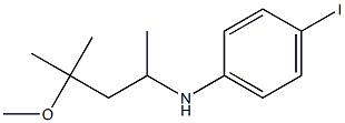 4-iodo-N-(4-methoxy-4-methylpentan-2-yl)aniline 结构式