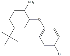 4-tert-butyl-2-(4-methoxyphenoxy)cyclohexan-1-amine Structure