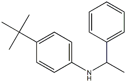 4-tert-butyl-N-(1-phenylethyl)aniline