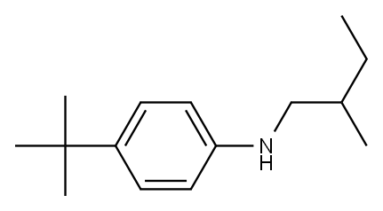  4-tert-butyl-N-(2-methylbutyl)aniline