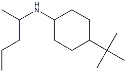 4-tert-butyl-N-(pentan-2-yl)cyclohexan-1-amine Struktur