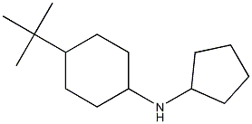 N-シクロペンチル-4-tert-ブチルシクロヘキサンアミン 化学構造式