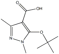 5-(tert-butoxy)-1,3-dimethyl-1H-pyrazole-4-carboxylic acid Structure