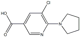 5-chloro-6-(pyrrolidin-1-yl)pyridine-3-carboxylic acid Struktur