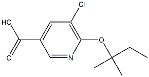 5-chloro-6-[(2-methylbutan-2-yl)oxy]pyridine-3-carboxylic acid