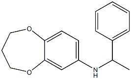  N-(1-phenylethyl)-3,4-dihydro-2H-1,5-benzodioxepin-7-amine