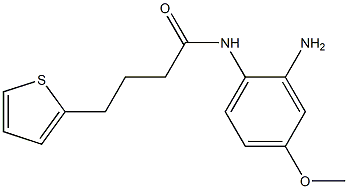 N-(2-amino-4-methoxyphenyl)-4-(thiophen-2-yl)butanamide Struktur