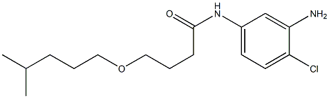 N-(3-amino-4-chlorophenyl)-4-[(4-methylpentyl)oxy]butanamide