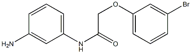 N-(3-aminophenyl)-2-(3-bromophenoxy)acetamide Structure