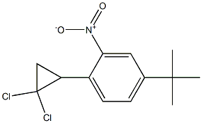 4-tert-butyl-1-(2,2-dichlorocyclopropyl)-2-nitrobenzene Struktur