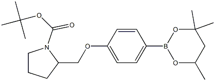 tert-Butyl 2-{[4-(4,4,6-trimethyl-1,3,2-dioxaborinan-2-yl)phenoxy]methyl}pyrrolidine-1-carboxylate 化学構造式