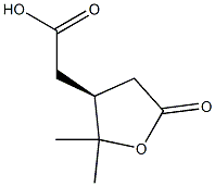 (S)-Tetrahydro-2,2-dimethyl-5-oxo-3-furanacetic acid