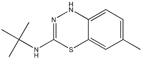 3-tert-Butylamino-6-methyl-1H-4,1,2-benzothiadiazine Struktur