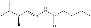 (+)-Valeric acid 2-[(S)-2,3-dimethylbutylidene] hydrazide Struktur
