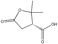 (R)-Tetrahydro-2,2-dimethyl-5-oxo-3-furancarboxylic acid Struktur