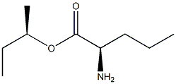 (R)-2-Aminopentanoic acid (R)-1-methylpropyl ester Struktur