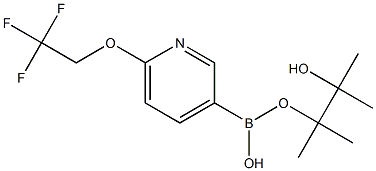 6-(2,2,2-trifluoroethoxy)pyridine-3-boronic acid pinacol ester|