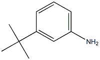 间叔丁基苯胺 结构式