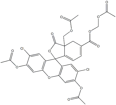 5-carboxy-2',7'-dichlorodihydrofluorescein diacetate bis(acetoxymethyl) ester