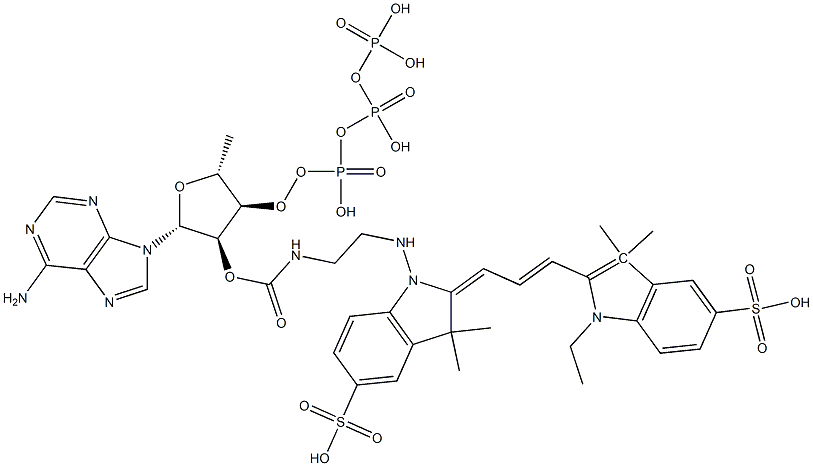 3'(2')-O-(N-(2-((2-((1-ethyl-3,3-dimethyl-5-sulfoindol-2-yl)prop-2-enylidene)-3,3-dimethyl-5-sulfoindol-1-yl)amino)ethyl)carbamoyl)-adenosine triphosphate 结构式