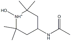 4-acetamido-1-hydroxy-2,2,6,6-tetramethylpiperidinium Struktur