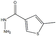 5-METHYLTHIOPHENE-3-CARBOHYDRAZIDE 结构式