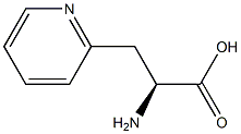 (S)-2-AMINO-3-(PYRIDIN-2-YL)PROPANOIC ACID