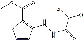 methyl 3-[2-(2,2-dichloroacetyl)hydrazino]thiophene-2-carboxylate,,结构式