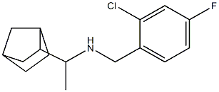 (1-{bicyclo[2.2.1]heptan-2-yl}ethyl)[(2-chloro-4-fluorophenyl)methyl]amine Struktur