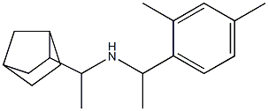 (1-{bicyclo[2.2.1]heptan-2-yl}ethyl)[1-(2,4-dimethylphenyl)ethyl]amine Struktur