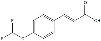 (2E)-3-[4-(difluoromethoxy)phenyl]prop-2-enoic acid Structure