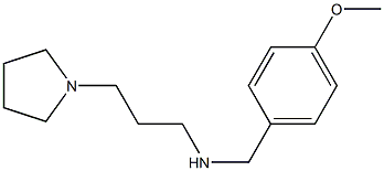 [(4-methoxyphenyl)methyl][3-(pyrrolidin-1-yl)propyl]amine