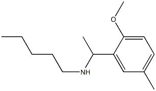 [1-(2-methoxy-5-methylphenyl)ethyl](pentyl)amine