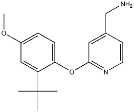 [2-(2-tert-butyl-4-methoxyphenoxy)pyridin-4-yl]methylamine Struktur