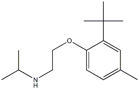 [2-(2-tert-butyl-4-methylphenoxy)ethyl](propan-2-yl)amine Structure