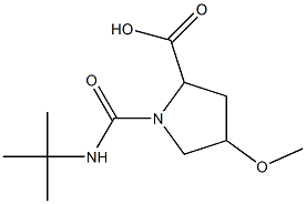 1-(tert-butylcarbamoyl)-4-methoxypyrrolidine-2-carboxylic acid Structure