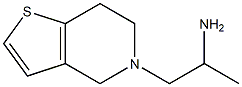 1-{4H,5H,6H,7H-thieno[3,2-c]pyridin-5-yl}propan-2-amine|