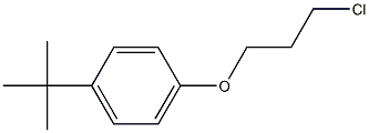 1-tert-butyl-4-(3-chloropropoxy)benzene Struktur