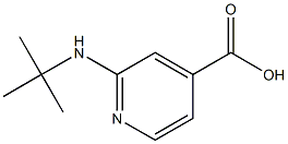 2-(tert-butylamino)pyridine-4-carboxylic acid 结构式