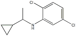 2,5-dichloro-N-(1-cyclopropylethyl)aniline Structure
