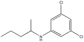 3,5-dichloro-N-(pentan-2-yl)aniline Structure