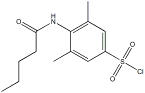 3,5-dimethyl-4-pentanamidobenzene-1-sulfonyl chloride Structure