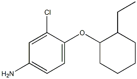 3-chloro-4-[(2-ethylcyclohexyl)oxy]aniline Structure