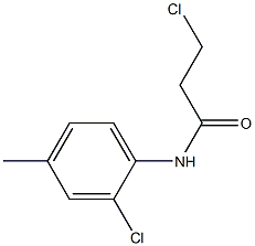 3-chloro-N-(2-chloro-4-methylphenyl)propanamide Struktur