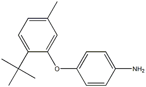 4-(2-tert-butyl-5-methylphenoxy)aniline