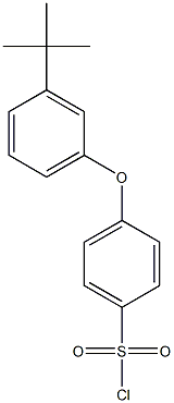 4-(3-tert-butylphenoxy)benzene-1-sulfonyl chloride