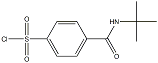 4-(tert-butylcarbamoyl)benzene-1-sulfonyl chloride 结构式