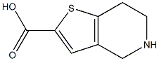 4H,5H,6H,7H-thieno[3,2-c]pyridine-2-carboxylic acid 结构式