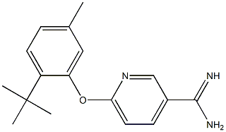 6-(2-tert-butyl-5-methylphenoxy)pyridine-3-carboximidamide 结构式