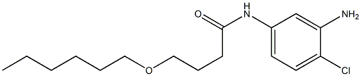 N-(3-amino-4-chlorophenyl)-4-(hexyloxy)butanamide Struktur